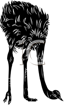 Ostrich Clipart