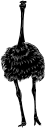 Ostrich Clipart