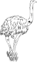 Ostrich Clipart