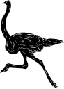 Ostrich Clipart