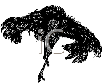 Ostrich Clipart