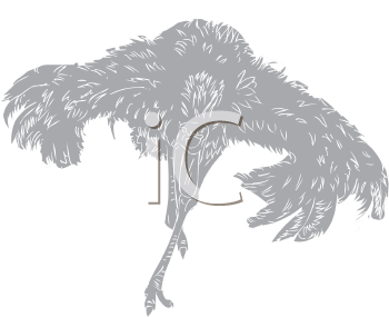 Ostrich Clipart