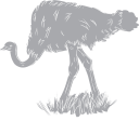 Ostrich Clipart