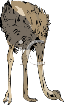 Ostrich Clipart