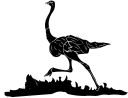 Ostrich Clipart