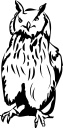 Owl Clipart