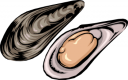 Mollusk Clipart