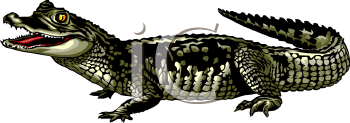 Reptile Clipart