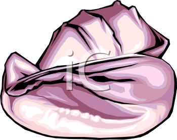 Mollusk Clipart