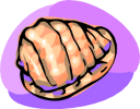 Mollusk Clipart