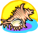 Mollusk Clipart