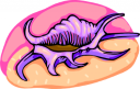 Mollusk Clipart