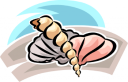 Mollusk Clipart