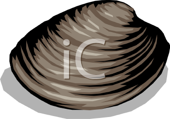 Mollusk Clipart