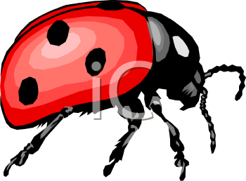 Ladybug Clipart