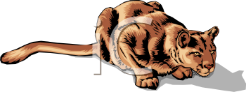 Lion Clipart