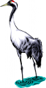 Crane Clipart