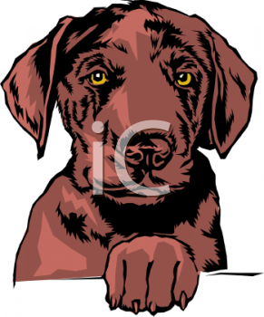 Pet Clipart