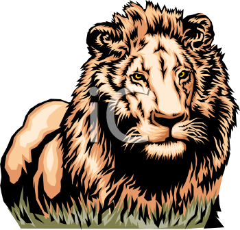 Lion Clipart