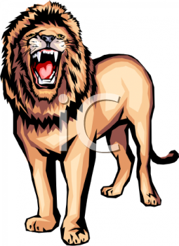 Lion Clipart