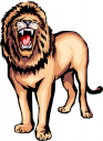 Lion Clipart