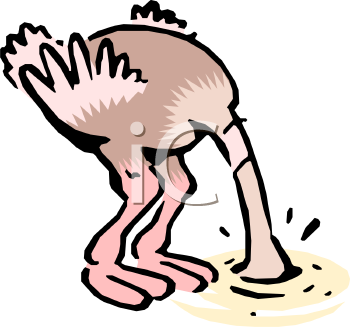 Ostrich Clipart