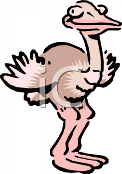 Ostrich Clipart