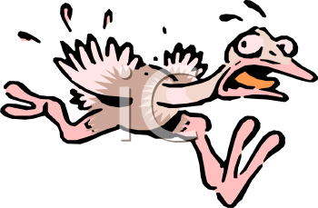 Ostrich Clipart