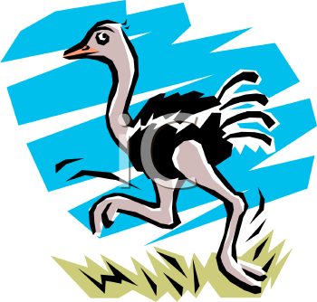 Ostrich Clipart