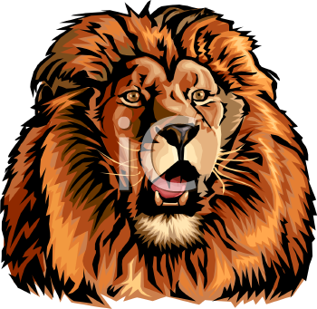 Lion Clipart