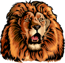 Lion Clipart