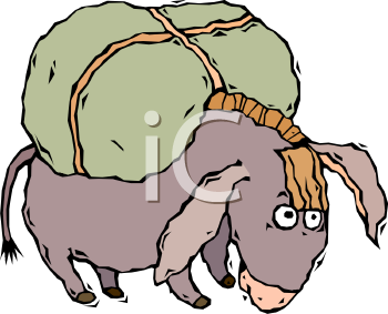 Mule Clipart