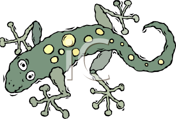 Gecko Clipart