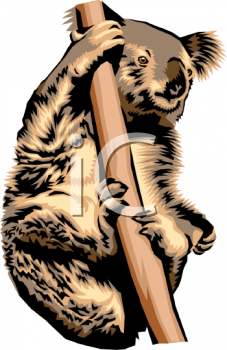 Marsupial Clipart