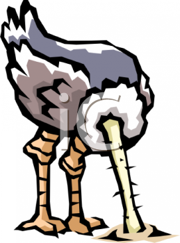 Ostrich Clipart