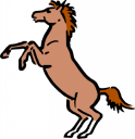 Mule Clipart