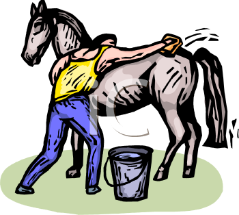 Mule Clipart