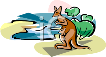 Kangaroo Clipart