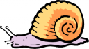 Mollusk Clipart