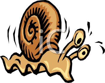 Mollusk Clipart