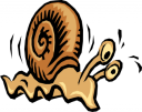 Mollusk Clipart