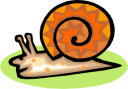 Mollusk Clipart