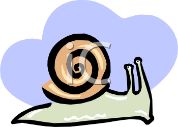 Mollusk Clipart