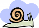 Mollusk Clipart