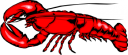 Lobster Clipart