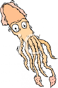 Mollusk Clipart