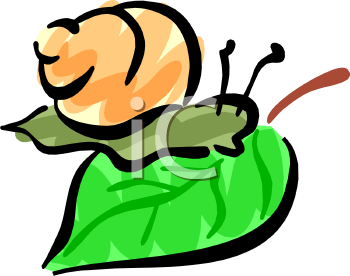 Mollusk Clipart
