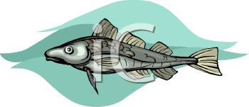 Cod Clipart