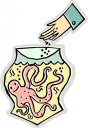 Octopus Clipart