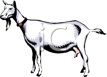 Goat Clipart